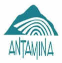 Logo Compañía Minera Antamina